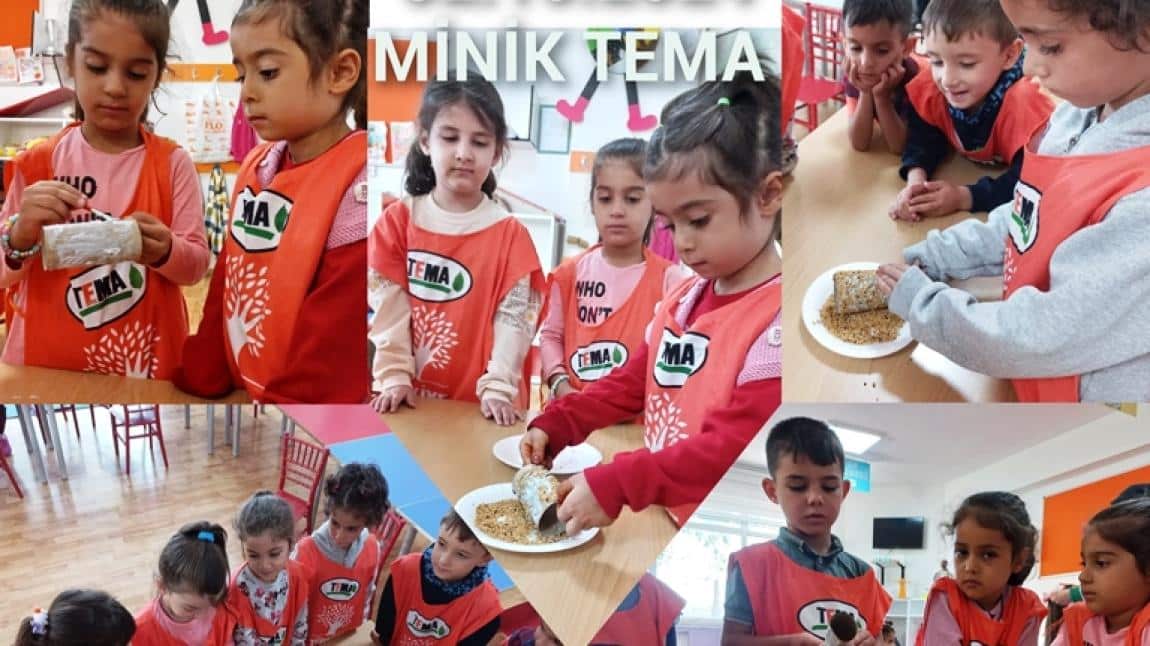 Minik Tema Etkinliklerimiz Başladı...